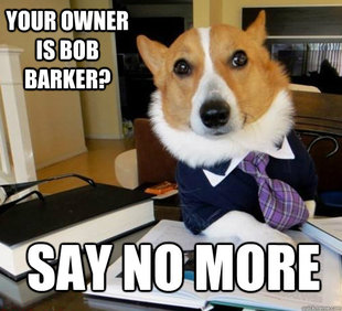 Lawyer Dog