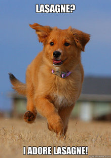 Ridiculously Photogenic Puppy