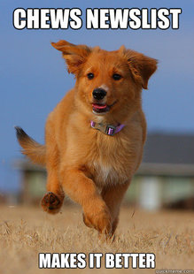 Ridiculously Photogenic Puppy