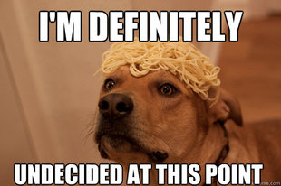 10 Dog