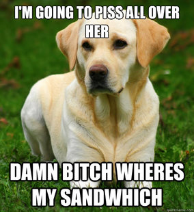 Dog Logic
