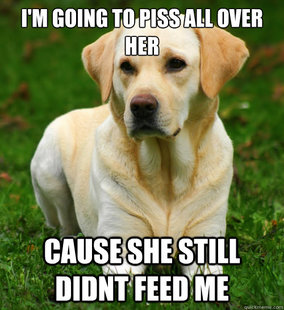 Dog Logic