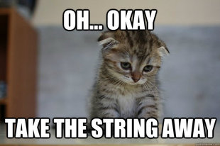 Sad Kitten