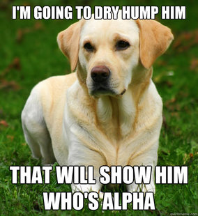 Dog Logic