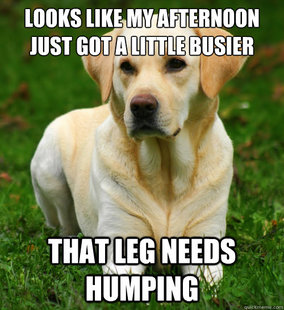 Dog Logic