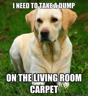 Dog Logic