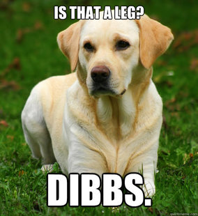 Dog Logic