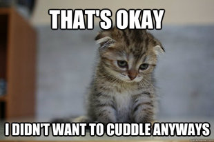 Sad Kitten