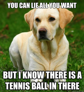 Dog Logic