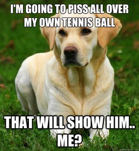 Dog Logic