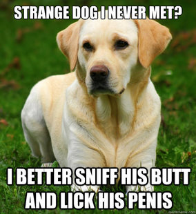 Dog Logic