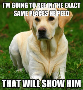 Dog Logic