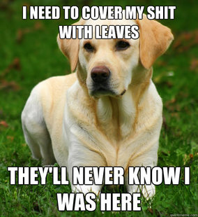 Dog Logic