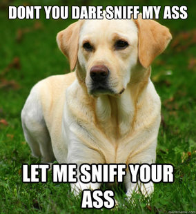 Dog Logic