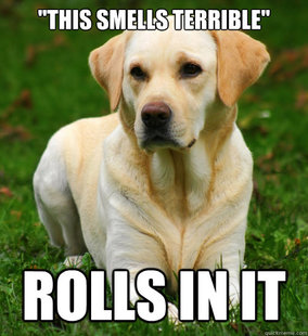 Dog Logic