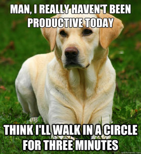 Dog Logic