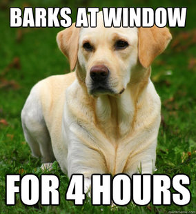Dog Logic