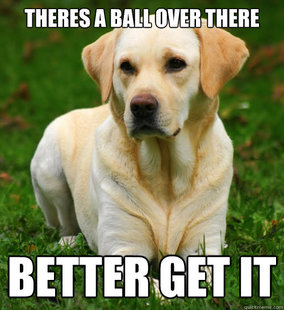 Dog Logic
