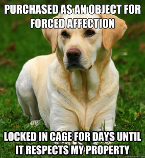 Dog Logic