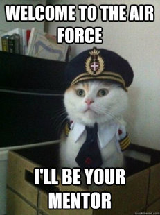 Captain kitteh