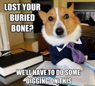 Lawyer Dog