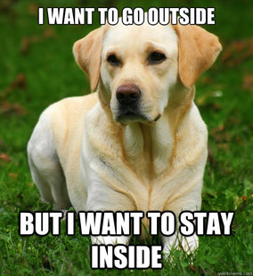 Dog Logic