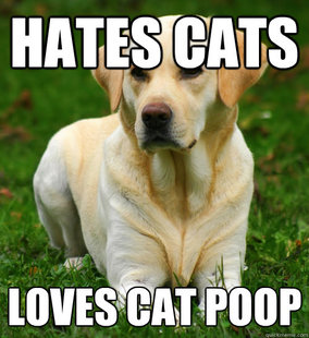 Dog Logic