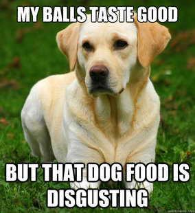 Dog Logic