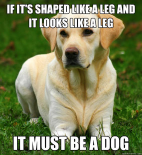 Dog Logic