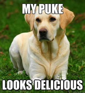 Dog Logic