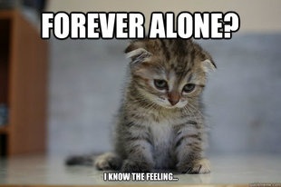 Sad Kitten
