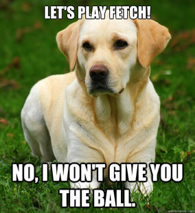 Dog Logic