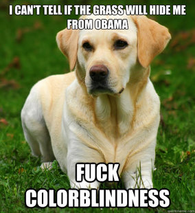 Dog Logic