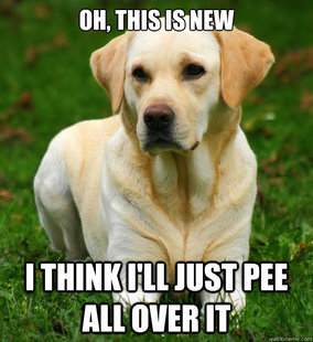 Dog Logic