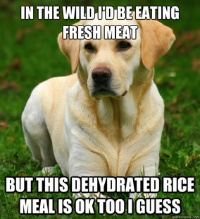 Dog Logic