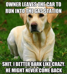 Dog Logic