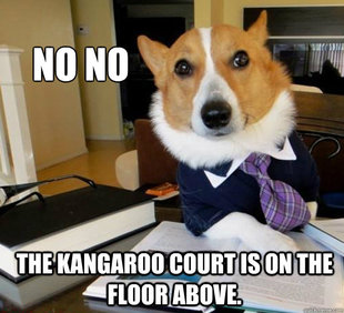 Lawyer Dog