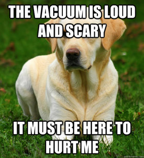 Dog Logic