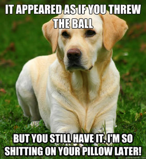 Dog Logic