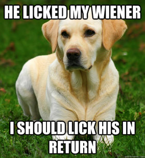 Dog Logic