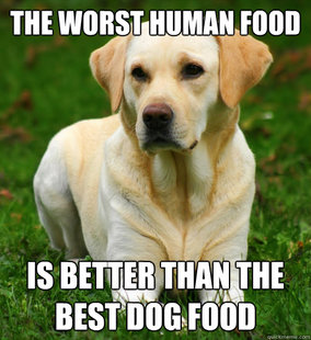 Dog Logic
