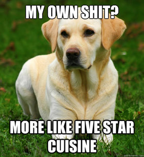 Dog Logic