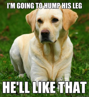 Dog Logic