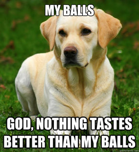 Dog Logic