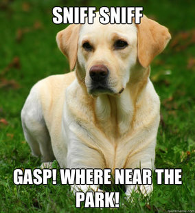 Dog Logic