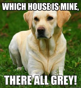 Dog Logic
