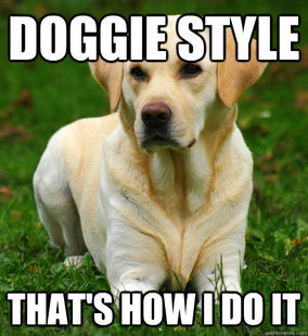 Dog Logic