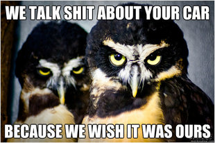 Honest Hater owls