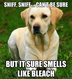 Dog Logic