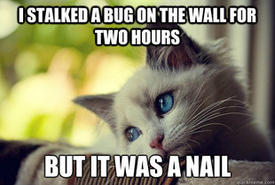 First World Problems Cat